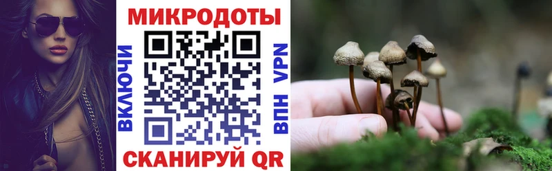 Галлюциногенные грибы Magic Shrooms  Павловская 